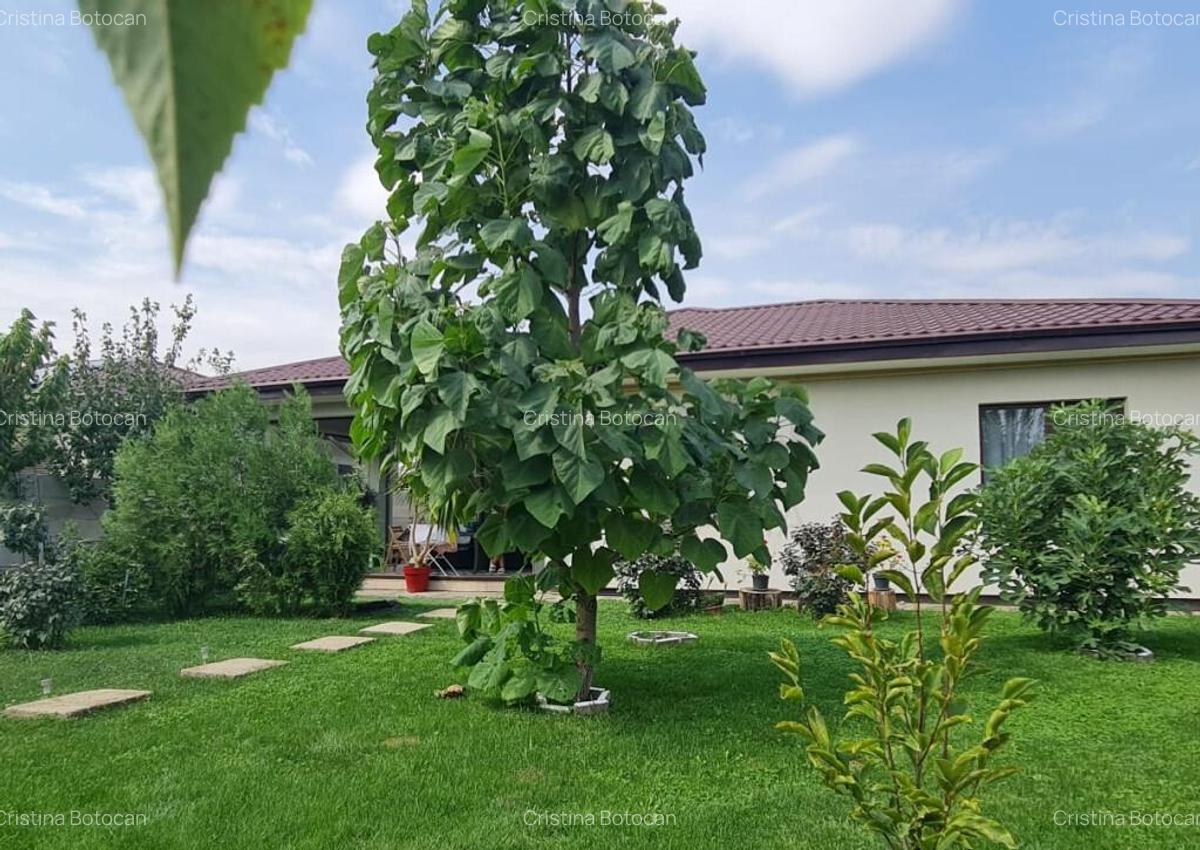 Vila pe un singur nivel cu panouri solare - 4