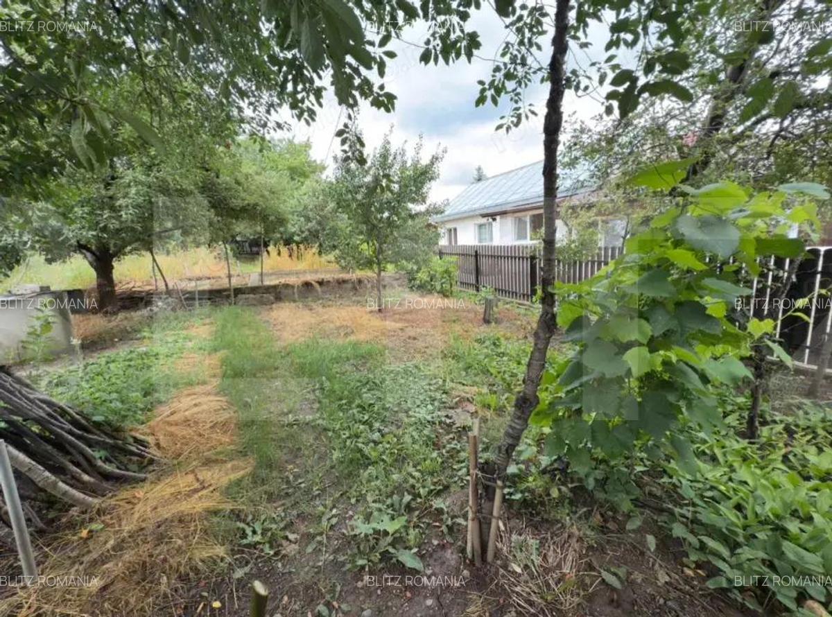 Teren Intravilan + Extravilan 5000mp cu anexa demolabila Manastirea Doamnei - 6