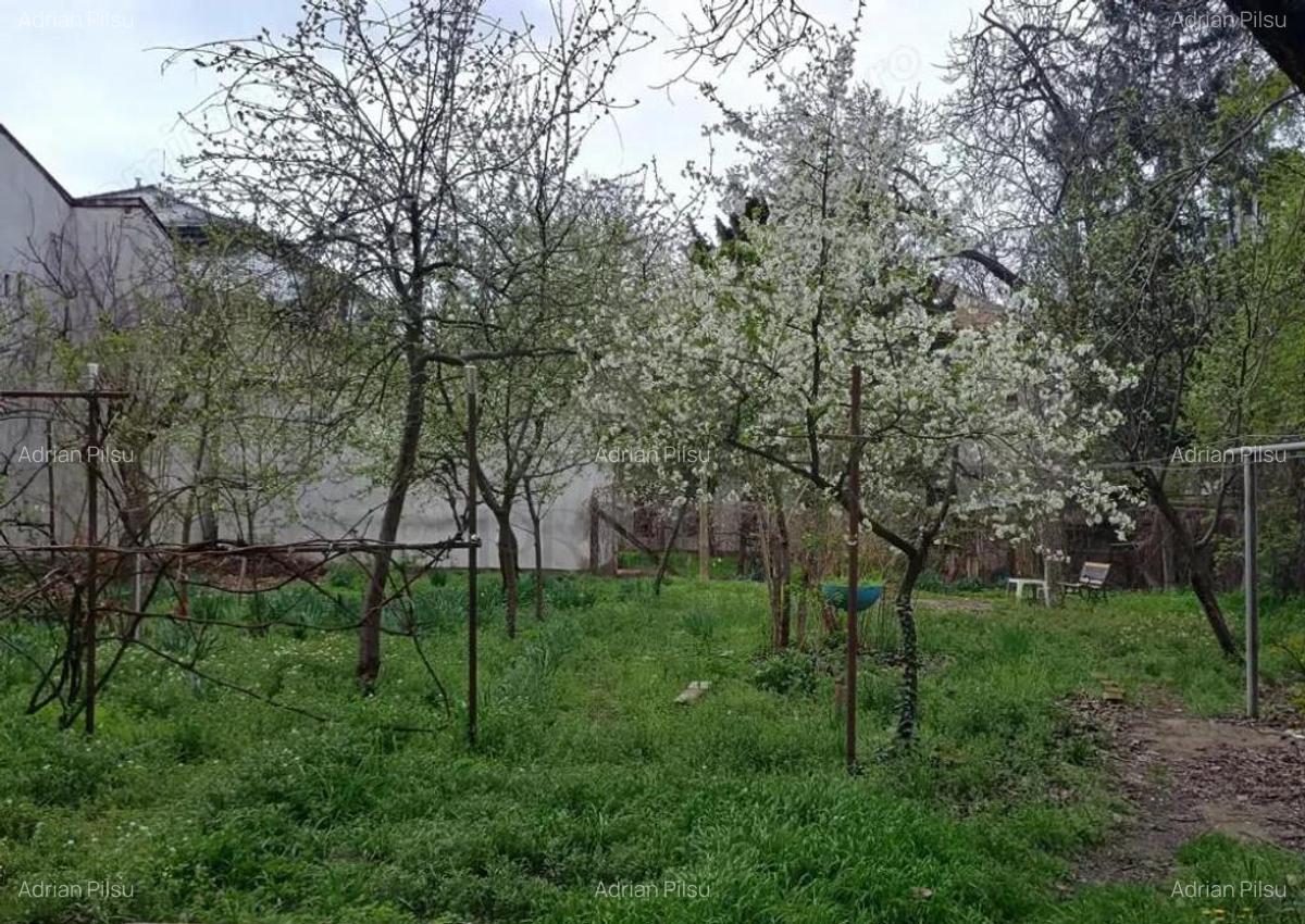 Apartament 1 camera Balcescu - 1