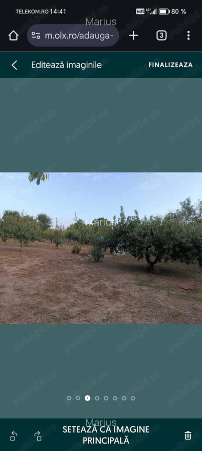 Vand Casa Segarcea Deal! - 5