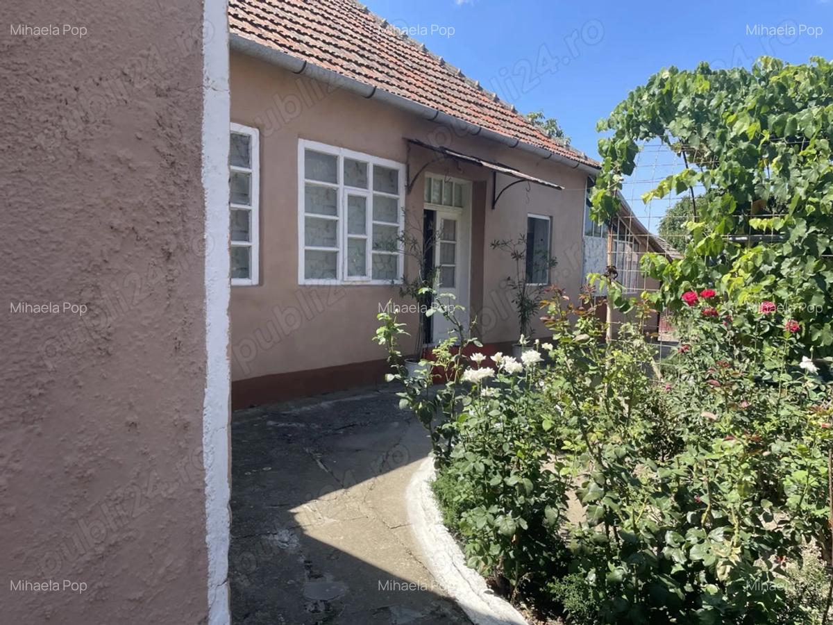 Vand casa in Sanmartinul Sarbesc - 5