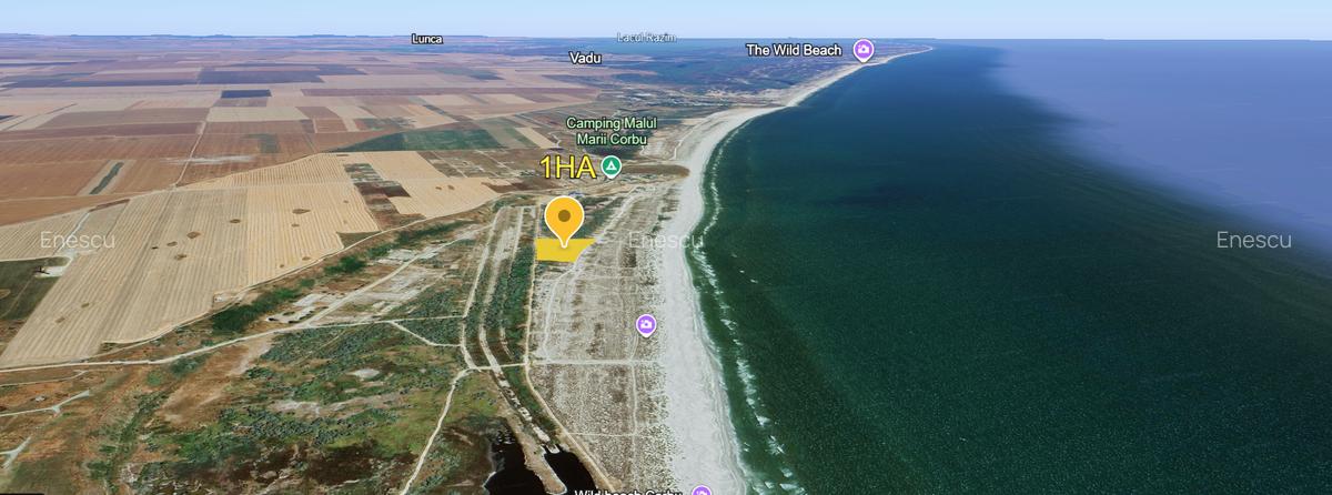 10.000 MP PRIMUL RAND LA MARE - - 3