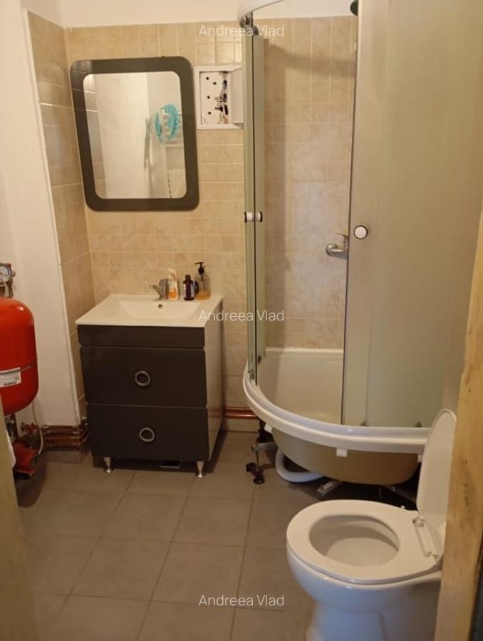 Casa de vanzare in Sacel - 2 corpuri locuibile, 3 bai, gradina, teren generos - 14