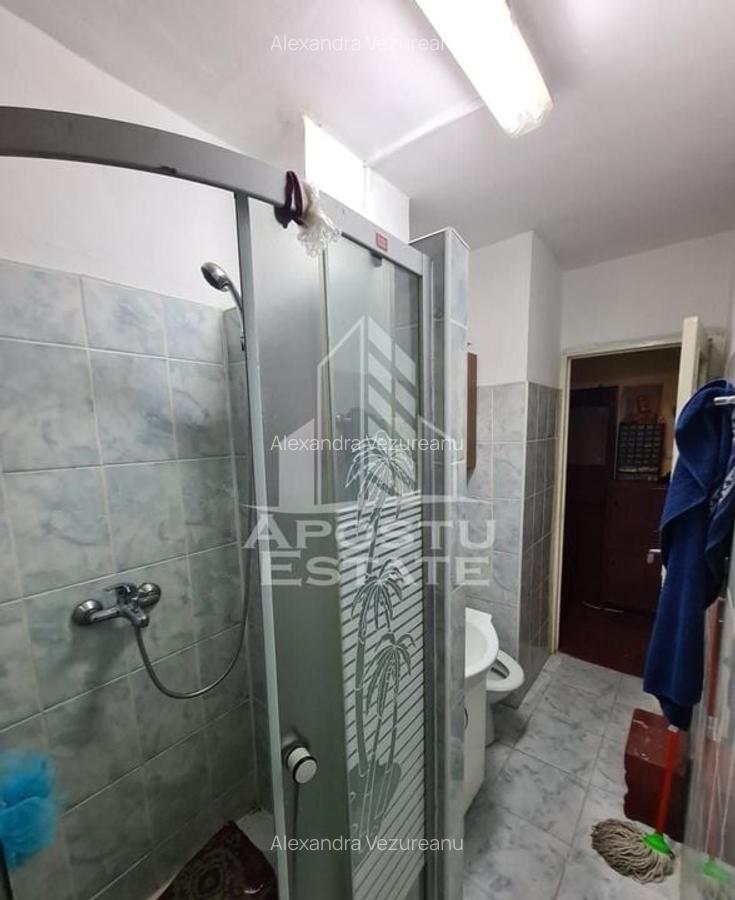 Apartament cu 3 camere semidecomandat, mobilat în Șagului - 8