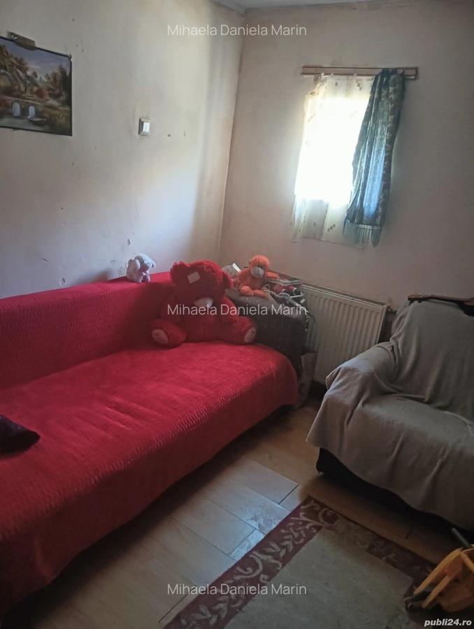 Ora? Pantelimon 50.000 negociabil - 5