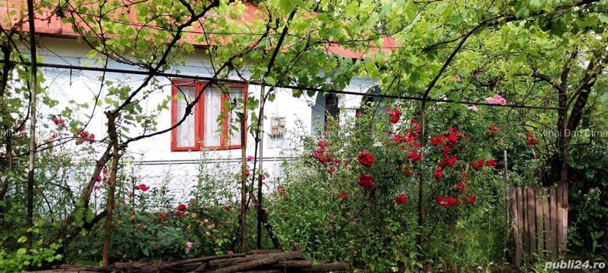 Vand casa Podenii Noi - 4
