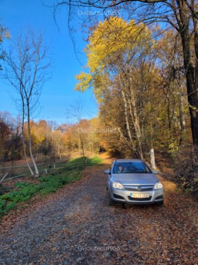 Vand teren cu padure la 5 km de Curtea de Arges,zona deal-munte,zona superba - 1