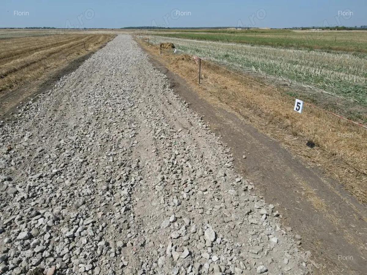 Lot 13+14 libere | 500 MP | Proprietar | Clinceni - 4