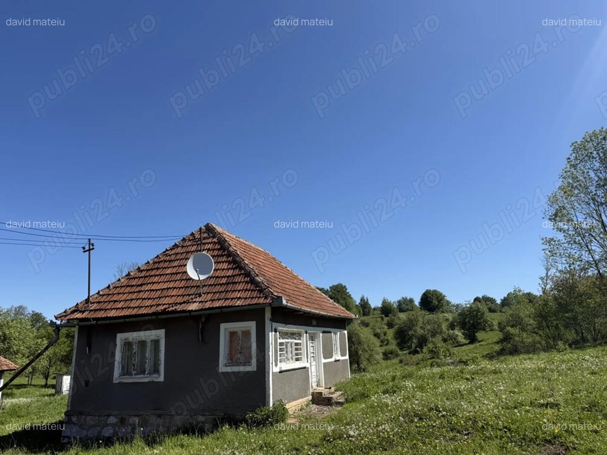 Vind casa in Tomnatic - 1