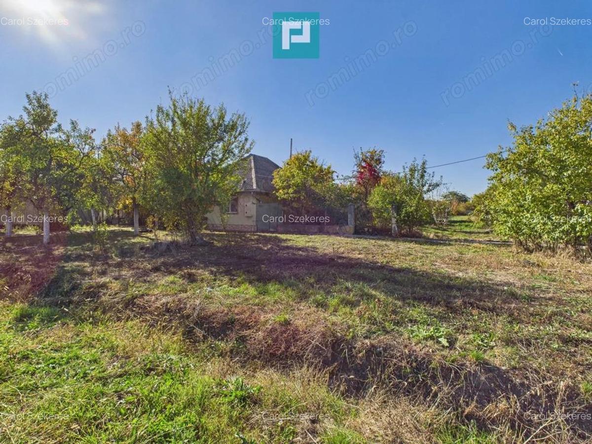 Teren intravilan de 1363 mp in Mandruloc - 1