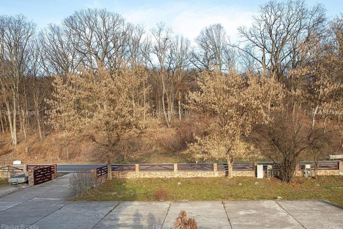 Pensiune, teren 4.460 mp, Hidișelul de Jos, Bihor. 685.000 Euro (neg). - 11