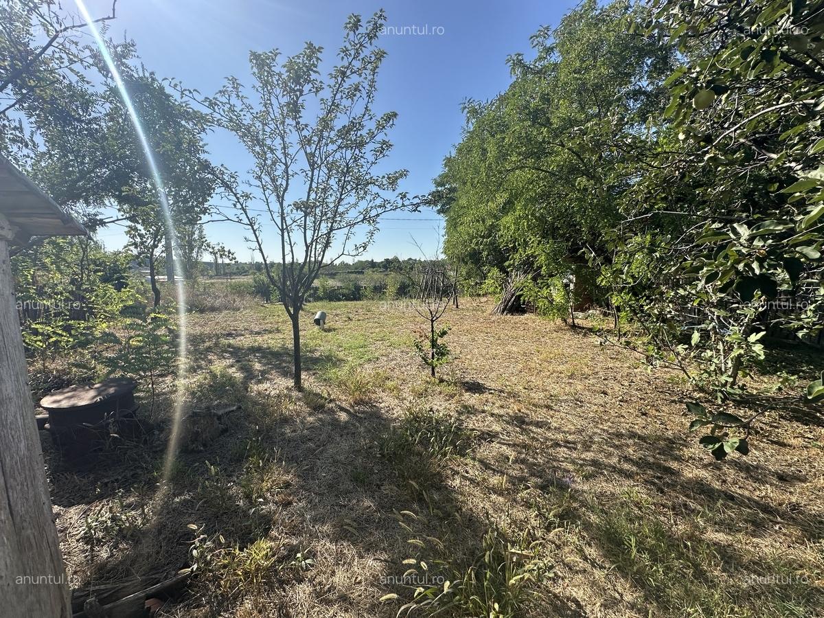 Suditi/Posta Calnau/Buzau - 5 Suditi/Posta Calnau/Buzau - 5