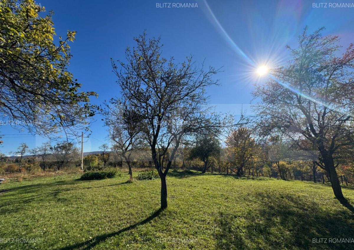 Teren extravilan 2000mp in Tarsa - 4