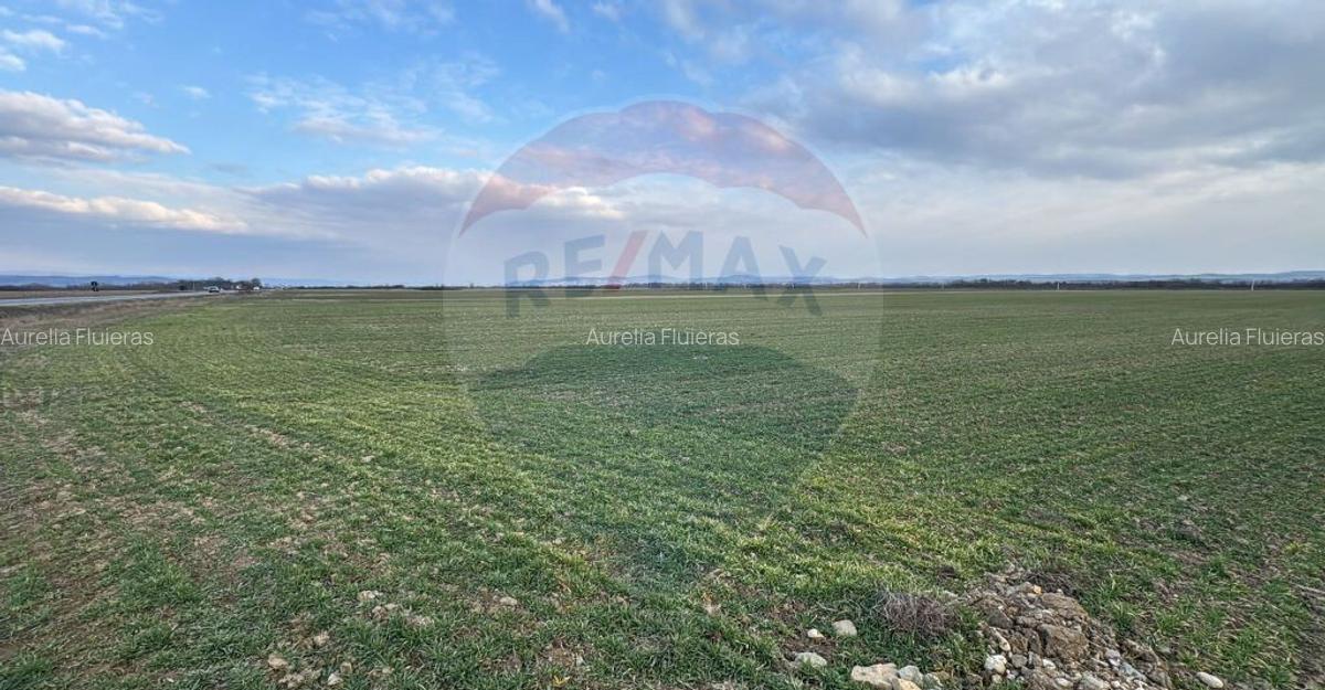 Teren intravilan de vanzare 3.675 mp Sabolciu, dire... - 6