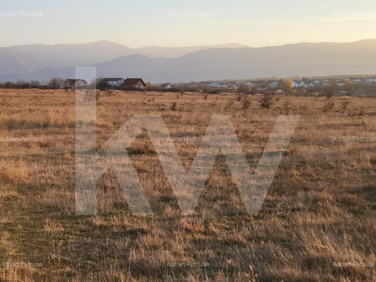 Oportunitate investitie | De vanzare, 3 parcele de 560 mp. - 5