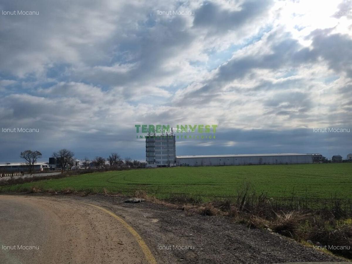 TEREN INDUSTRIAL 8000 MP  LA DN4, ACCES DIRECT! - 5