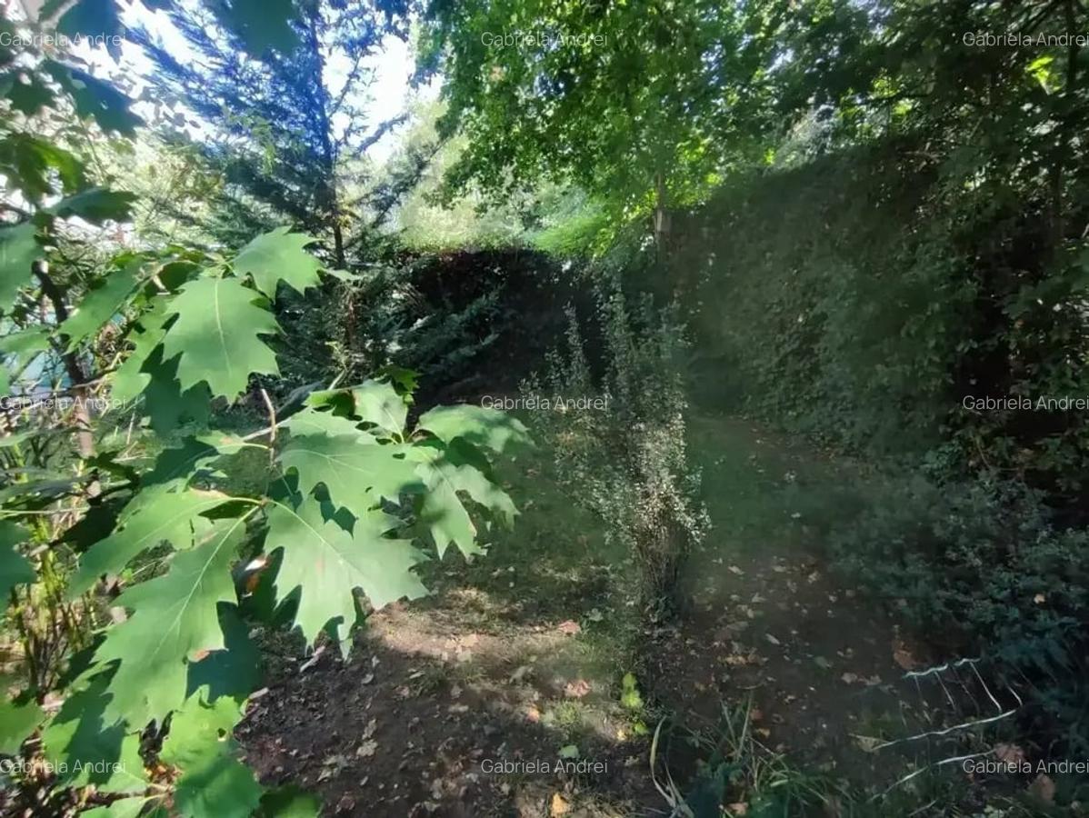 Casa 5 Camere Nordul  Capitalei | Zona Verde, Padure | Langa Metrou - 7