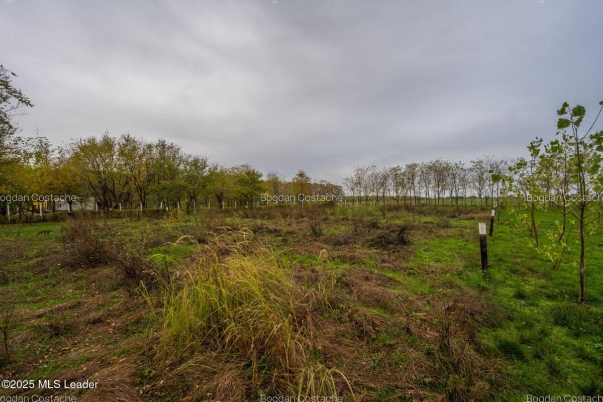 Teren intravilan de vanzare | Cartier rezidential deosebit | Afumati - 7