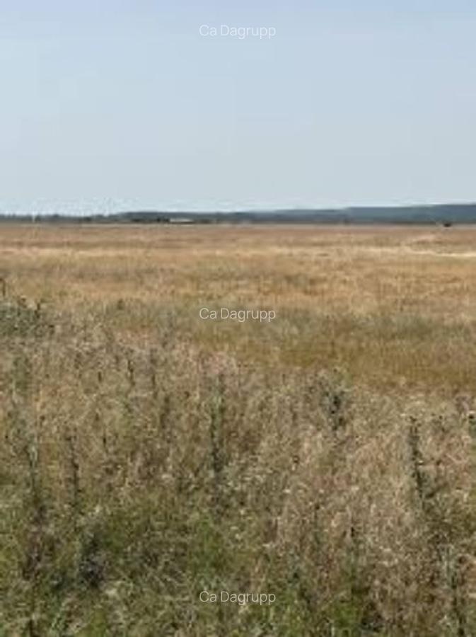 4 ha teren agricol la Iancu Jianu judetul Olt - 1