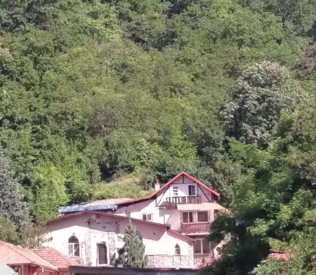 Vila Luminis & Casa Bobi isi cauta noi proprietari - 1