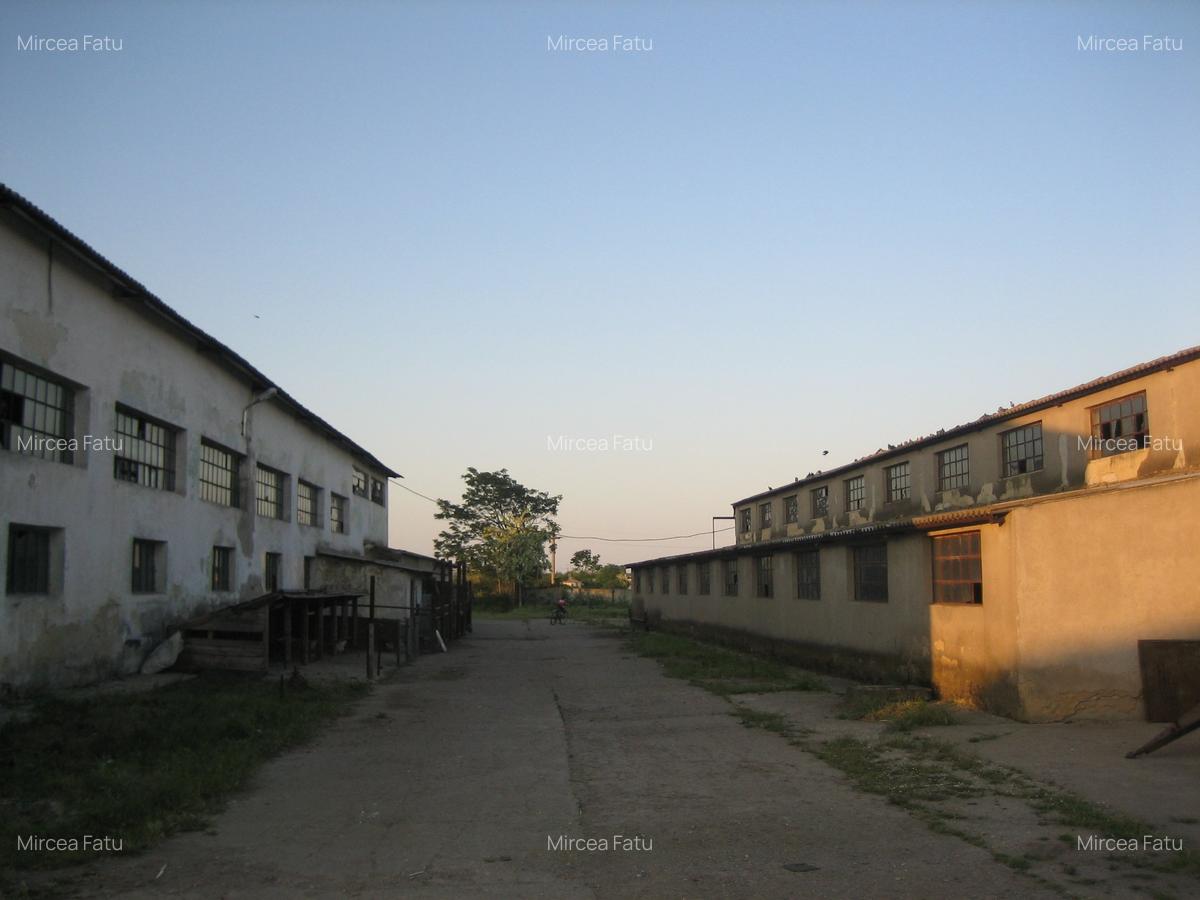 Teren Construcții intravilan de 14613 mp, în Poarta Albă - 13