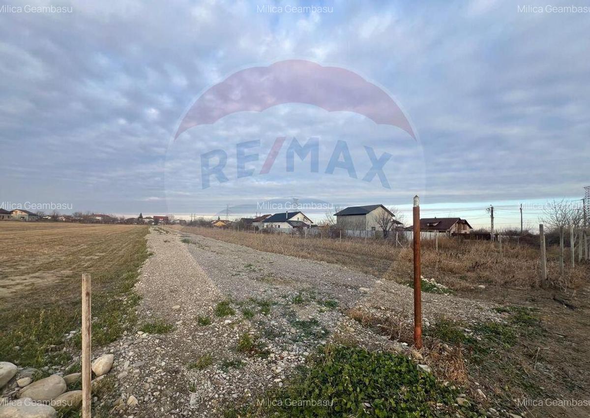 Teren 4,672mp Campineanca / Strada Toamnei - 7