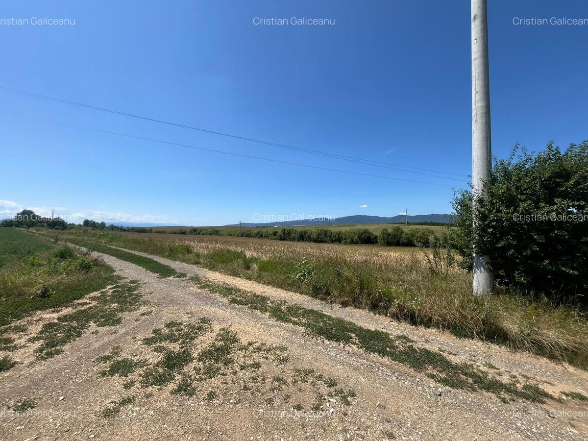 De vânzare teren extravilan – Calea Feldioarei, 10.000 mp - 2