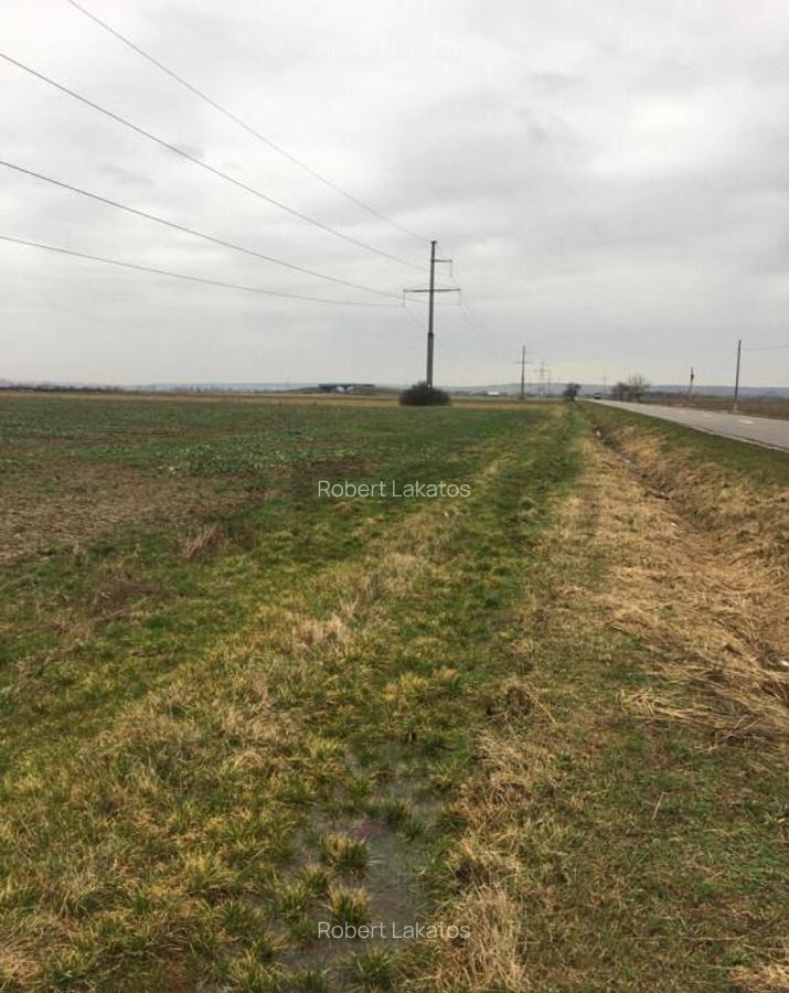 Reco Teren Intravilan in Chiribis - 4