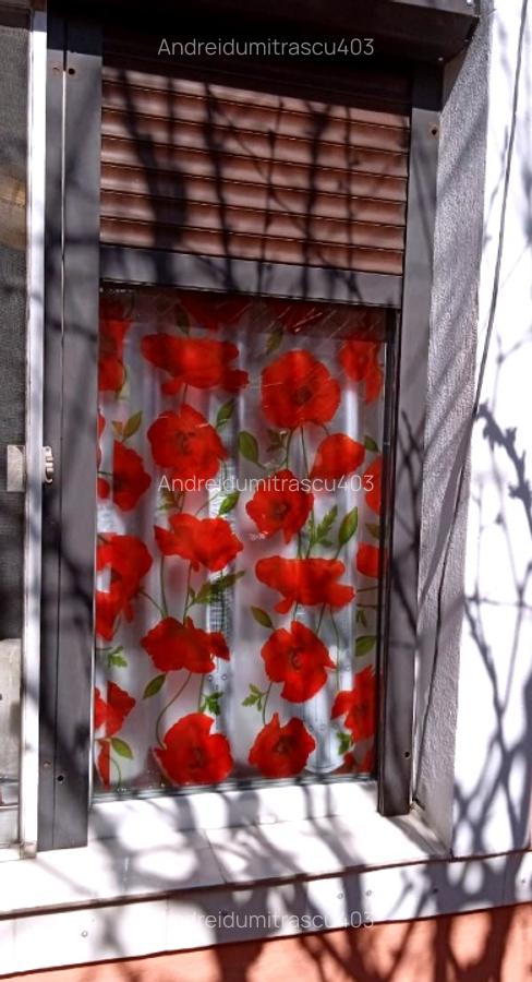 CASA+TEREN 266mp ona parc carol viilor - 6