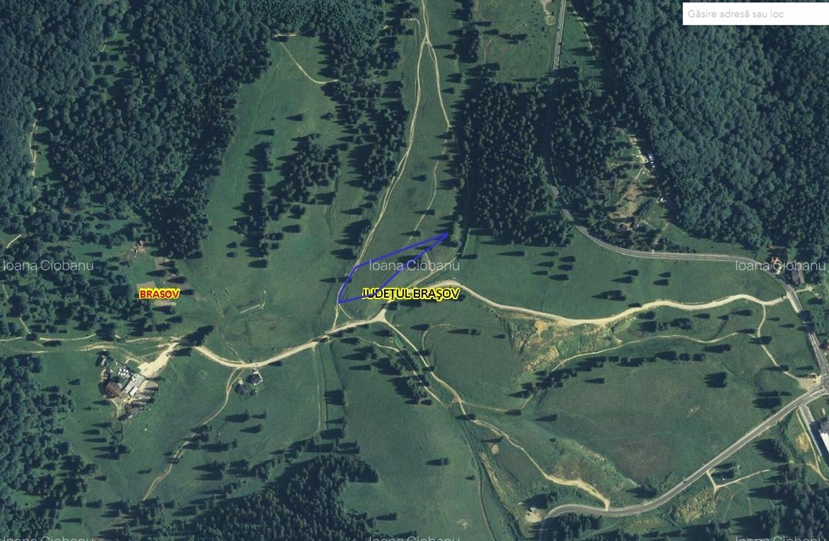 Vand 100.000 mp teren intravilan Poiana Mica - dezvoltari imobiliare - 4