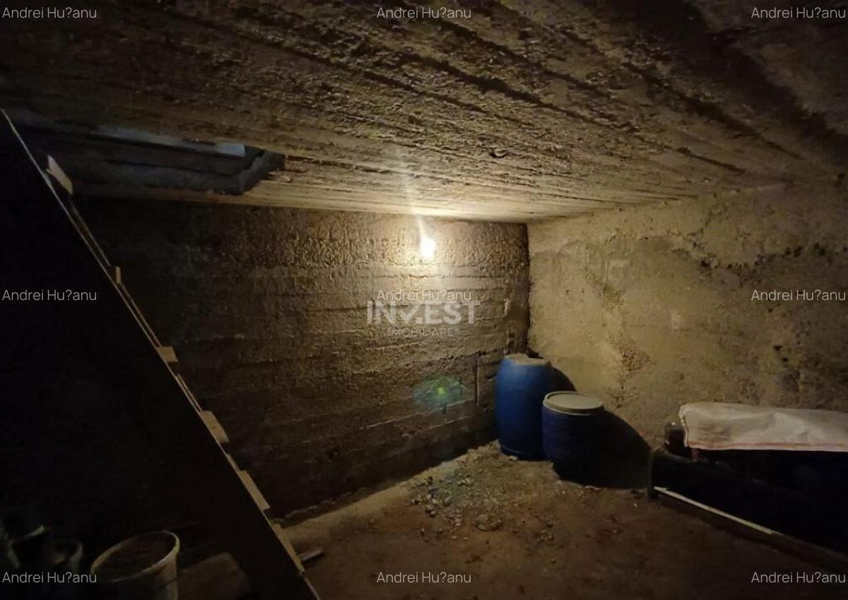 Casa 3 Camere, beci, magazie, mansarda 500 mp Teren - 3