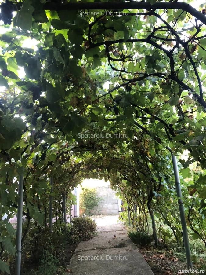 Vand casa, comuna Tiganesti, judetul Teleorman - 2