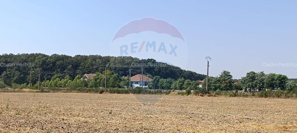 Teren 650mp Ghermanesti / Strada Milcov - 5