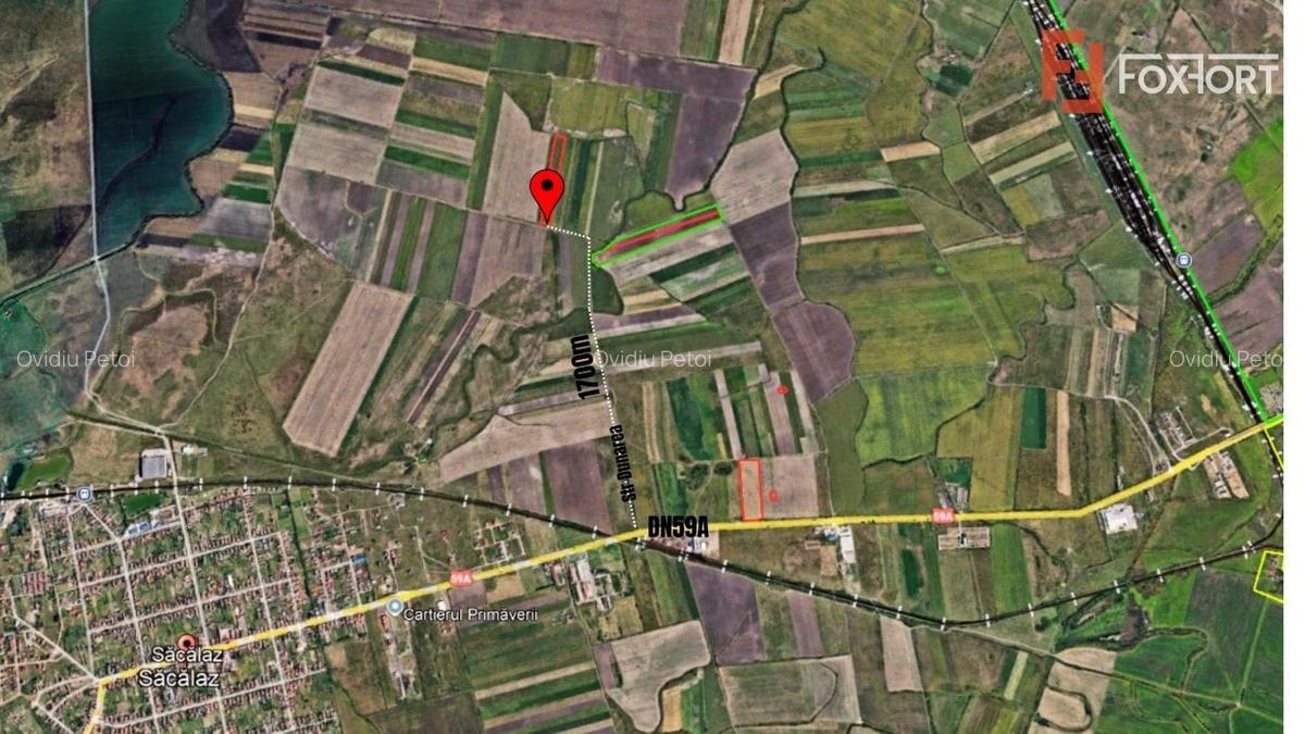 COMISION 0% Teren extravilan agricol, Sacalaz - 20.000 mp - 2