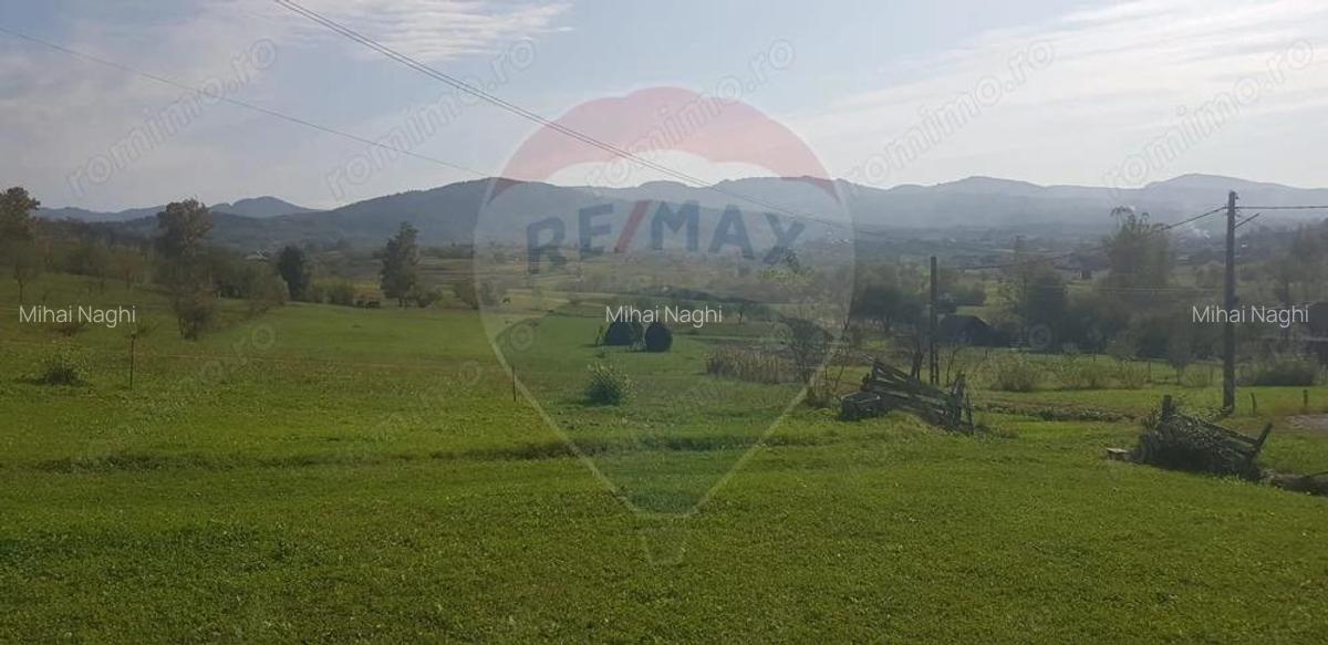Casa si teren 1.6 ha de vanzare, in Rona de Jos - 6
