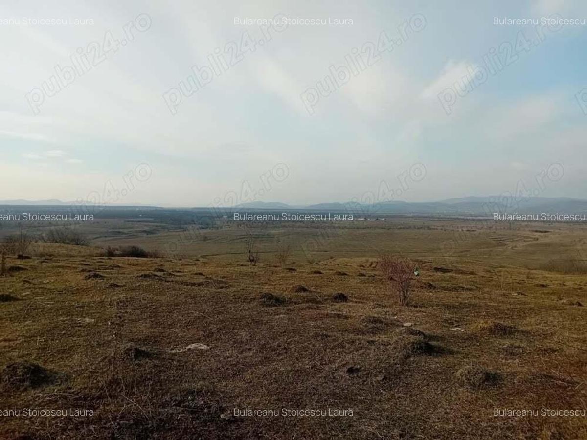 Teren - 7.132 mp zona deosebita , str Alexandru cel Bun - 2 Teren - 7.132 mp zona deosebita , str Alexandru cel Bun - 2