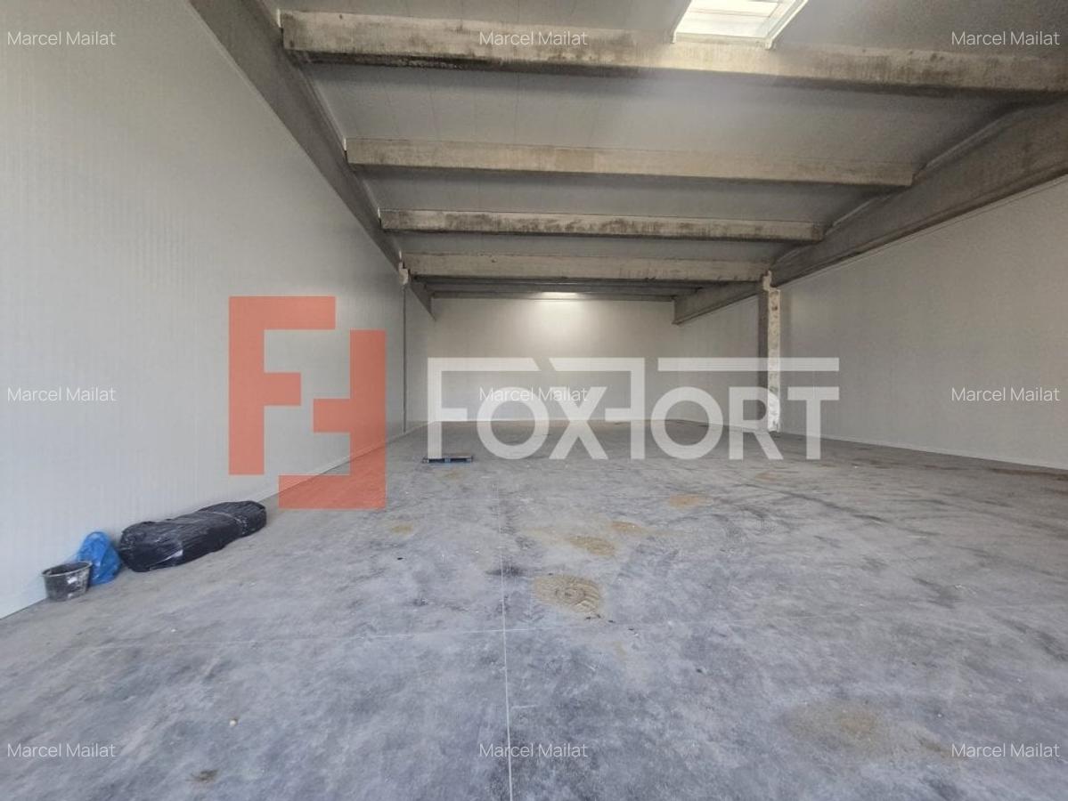 Spațiu industrial, 524 mp în Sânandrei - 8