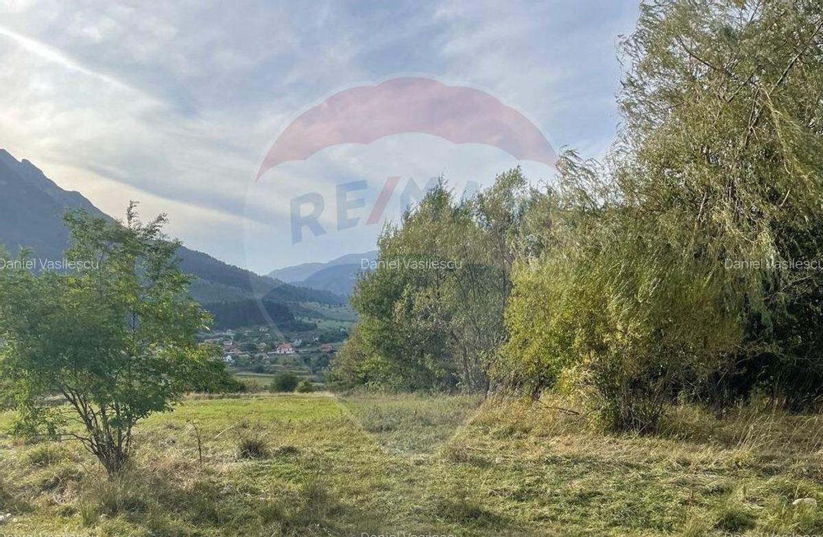 Teren Zarnesti- Tohanita, 4312 mp, deschidere generoasa d... - 5