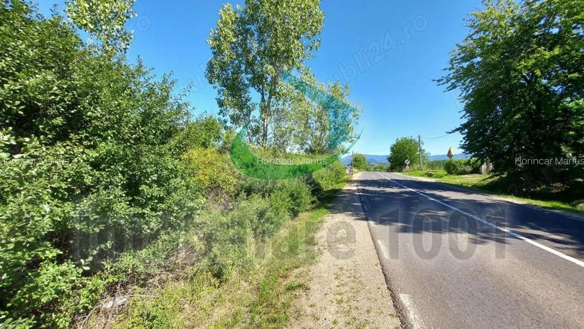Teren intravilan 6300 mp, Carbunari, parcelat, acces la doua drumuri publice - 5