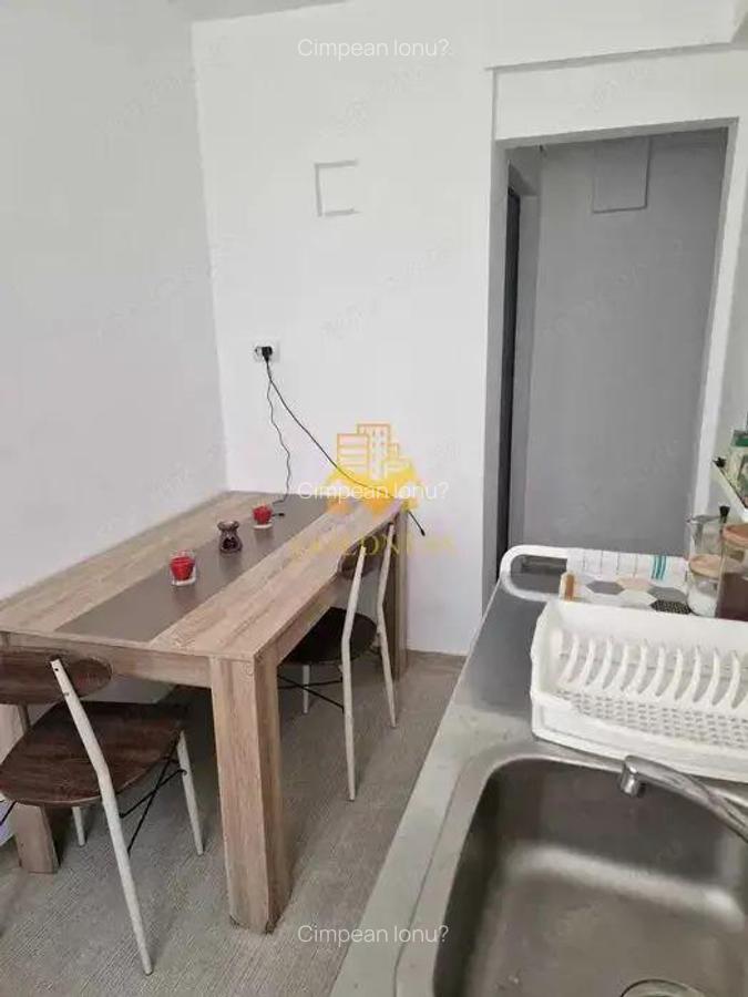 1 Camera, Pet Friendly, Horea, Zona Garii,Traian,Semi central, Dedeman - 3