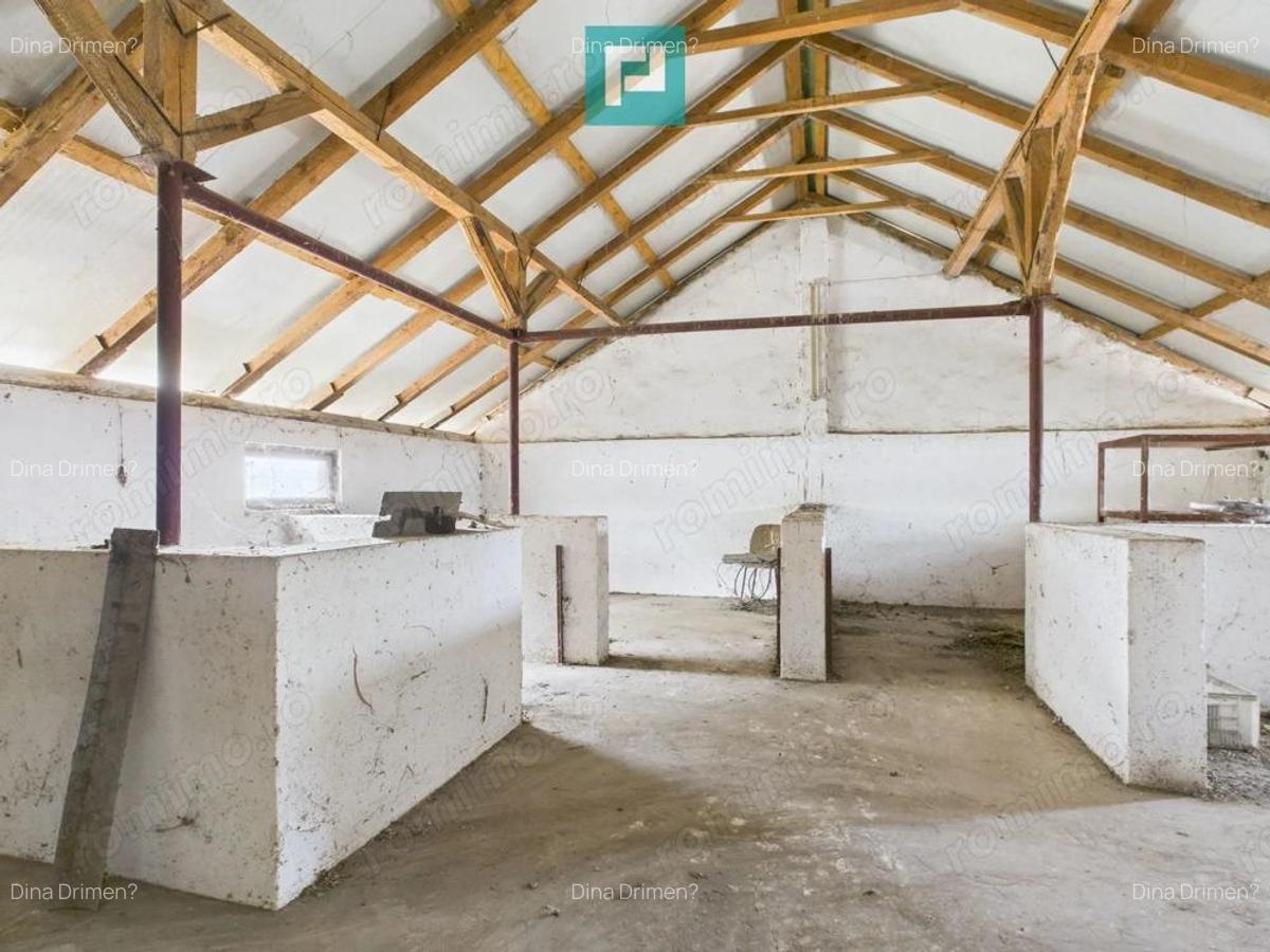 Hala pentru produc?ie / ferma zootehnica - Varia? - 11