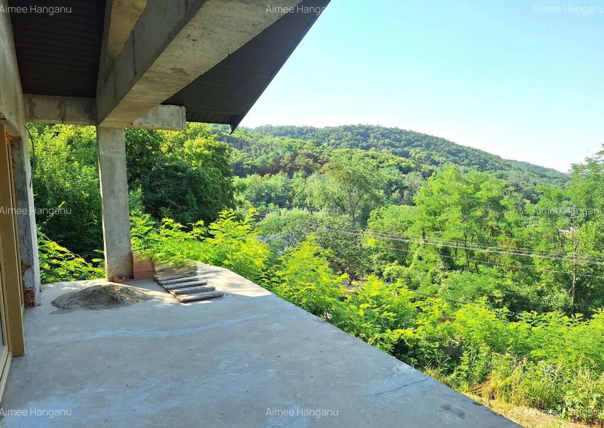 Casa / Vila noua de vanzare in Monteoru - 18