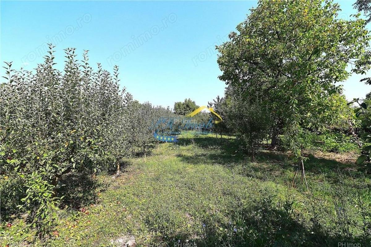 Casa de vanzare, Bordenii Mari Prahova - 7