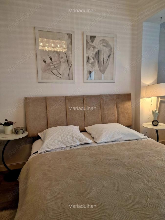 Apartament intr o zona de liniste si vis - 7