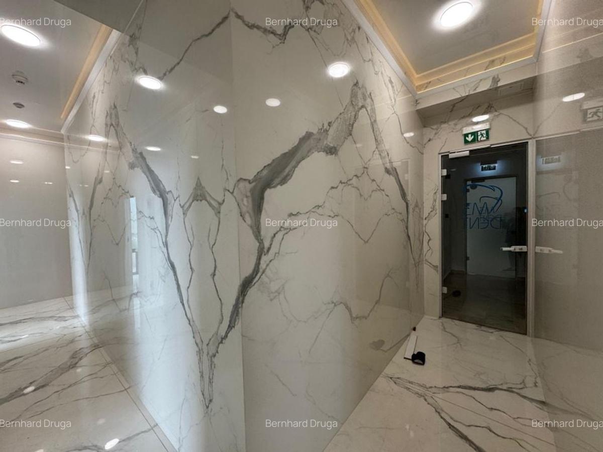 Spațiu Comercial Premium de Închiriat - Zona Domenii - 5