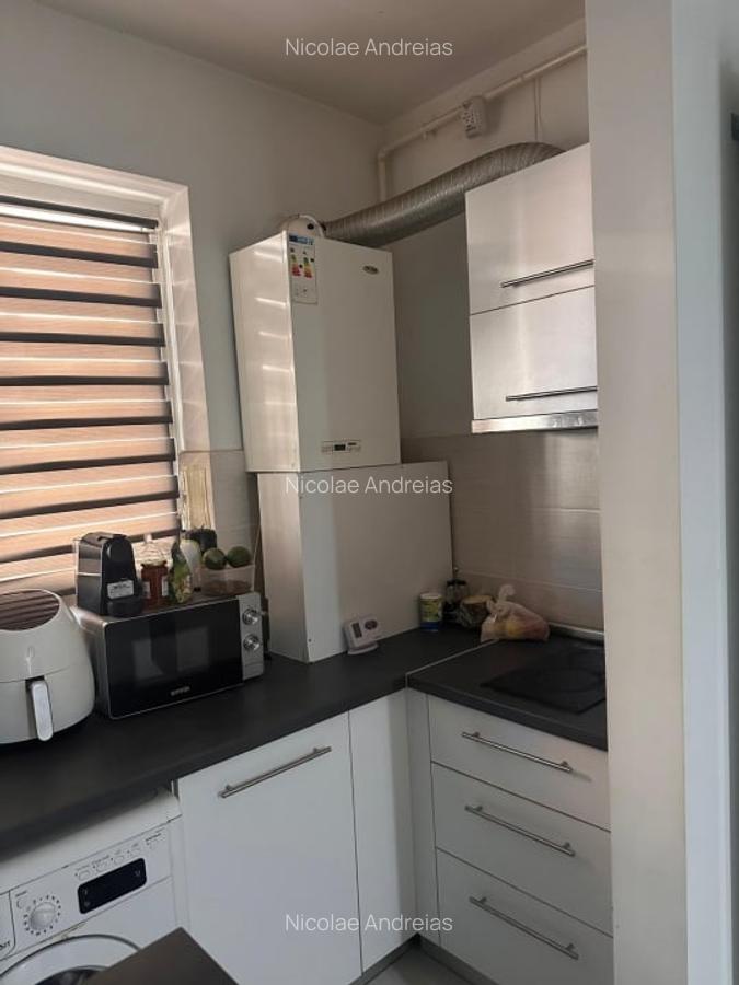 Popesti Leordeni-Amurgului-Dimitrie Leonida - 6