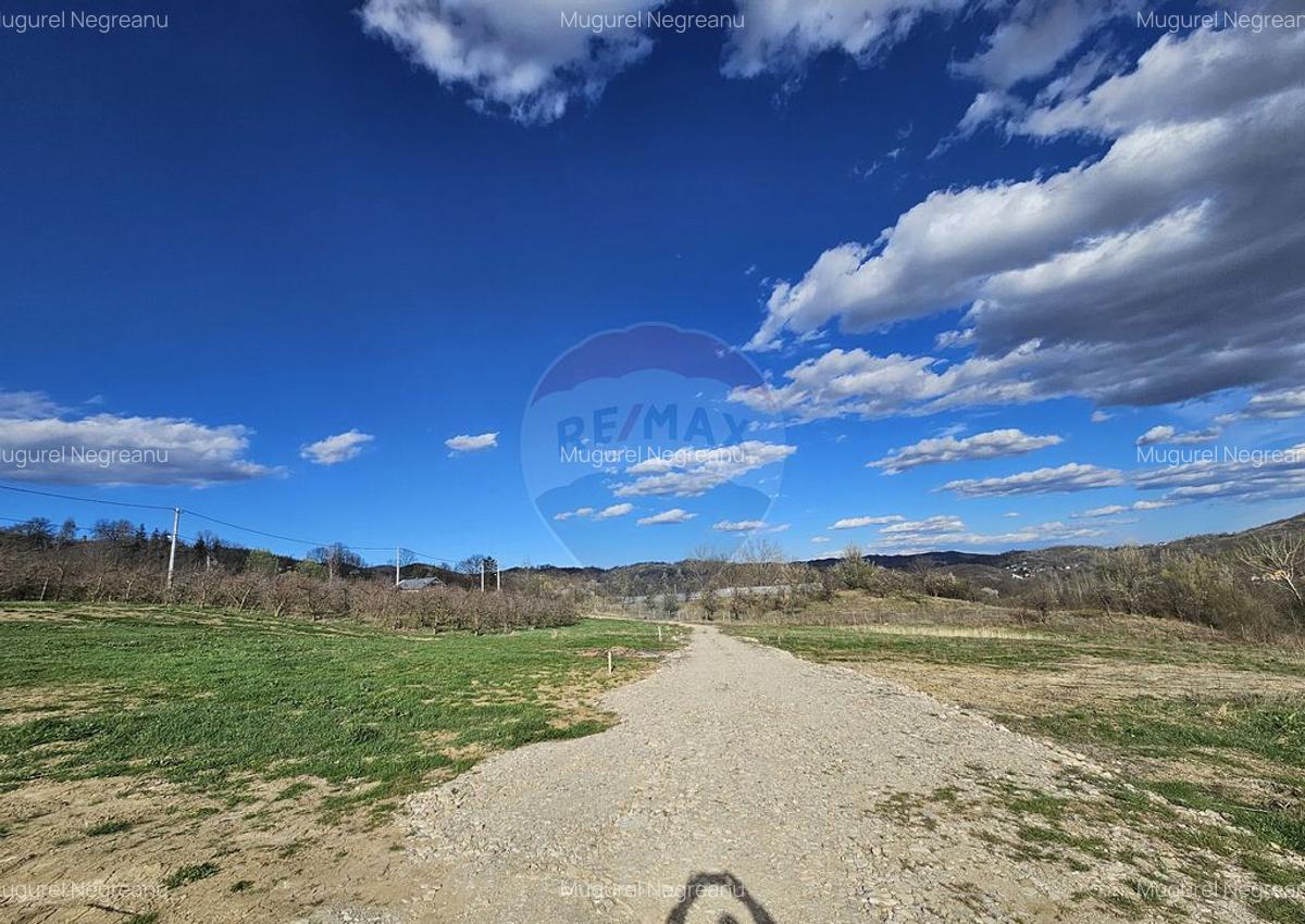15 parcele de 1000 mp de vanzare in Breaza Prahova- toate... - 17 15 parcele de 1000 mp de vanzare in Breaza Prahova- toate... - 17