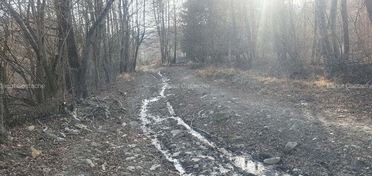Vand casa+teren 5300 mp Breaza de Sus Nistoresti Prahova - 8