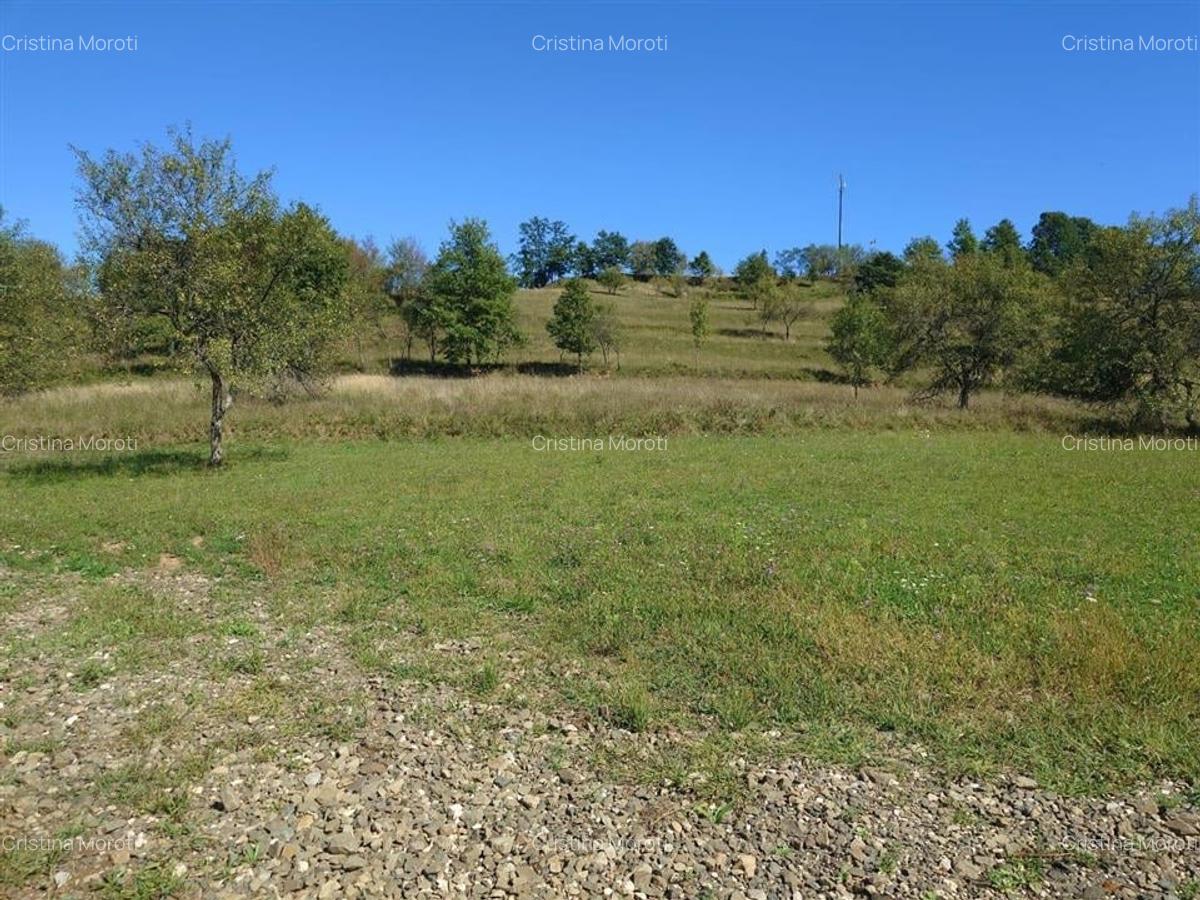 Teren intravilan 8757 mp cu potential turistic si acces direct la E79 - 8