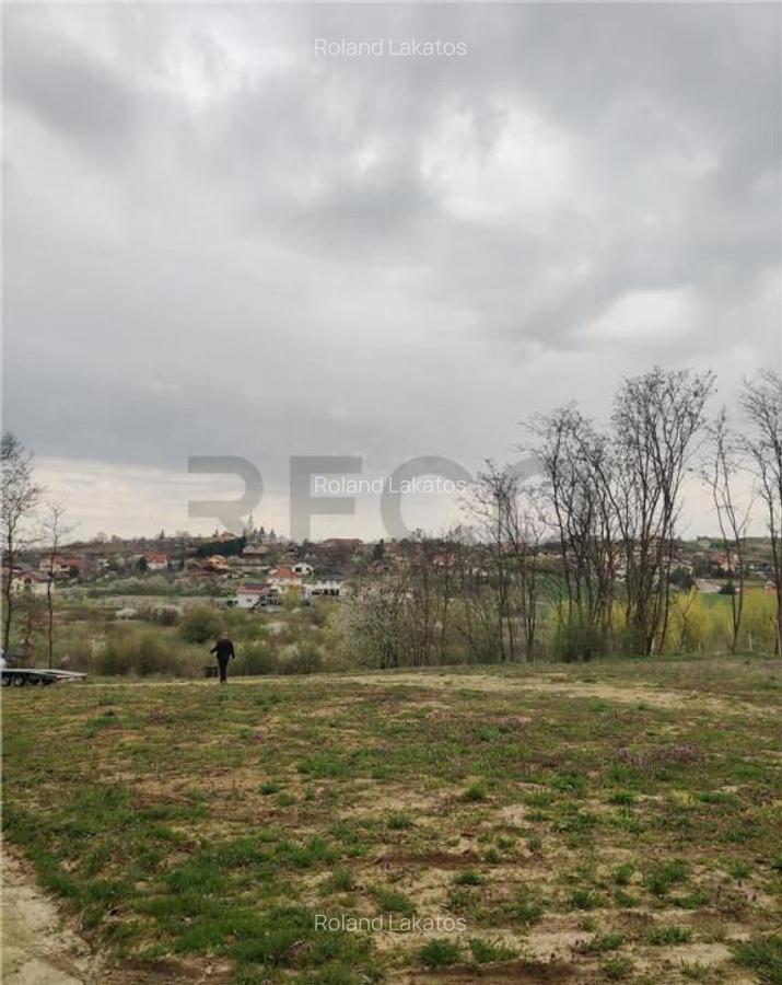 RECO . TEREN INTRAVILAN PALEU - 8